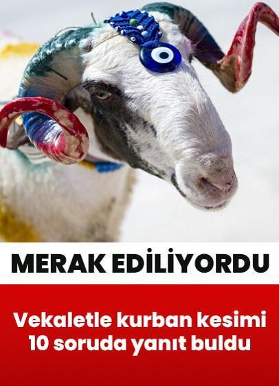 Vekaletle kurban kesiminde dikkat edilmesi gereken 10 husus... Merak edilenler yanıt buldu