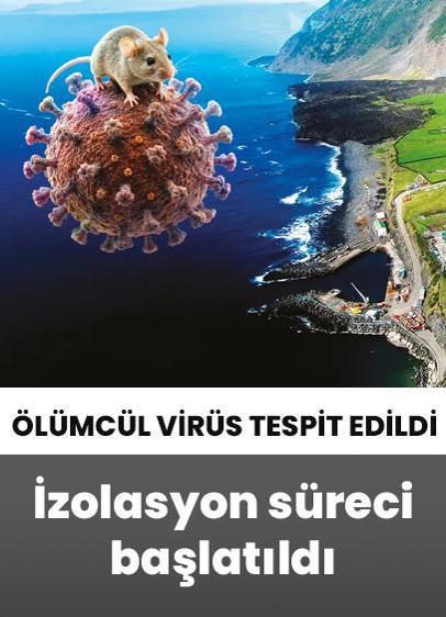 Dünyanın ucunda hantavirüs alarmı! o adada ölümcül virüs tespit edildi