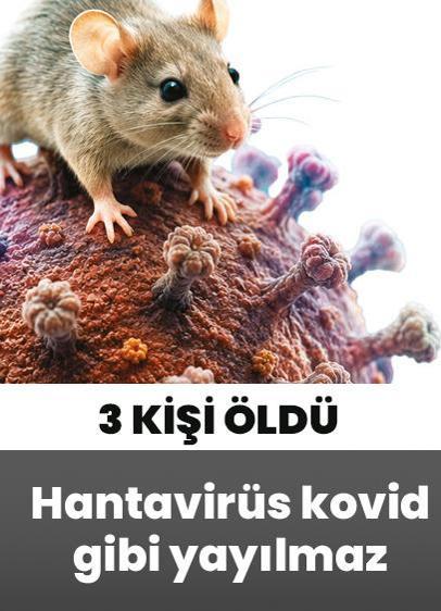 Hantavirüs kovid gibi yayılmaz