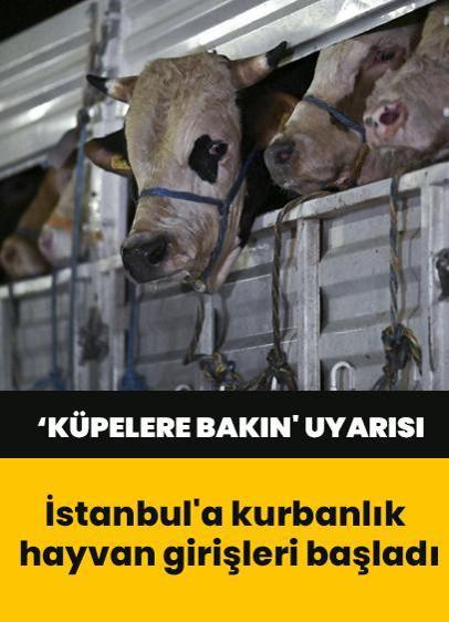‘Küpelere bakın' uyarısı