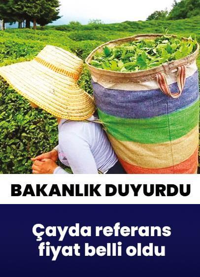 Yaş çayın kilosu 35 TL
