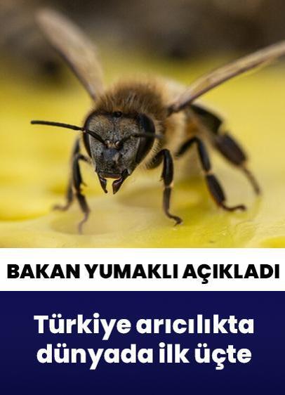 Türkiye arıcılıkta dünyada ilk üçte! Bakan Yumaklı güçlü potansiyele dikkati çekti