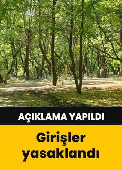 Manisa'da ormanlık alanlara girişler yasaklandı