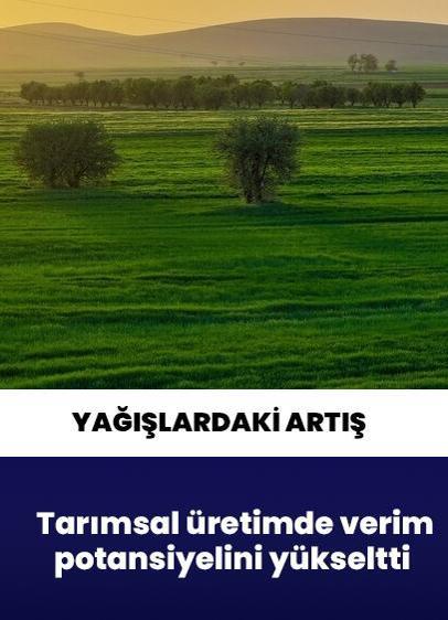 Yağışlardaki artış tarımsal üretimde verim potansiyelini yükseltti