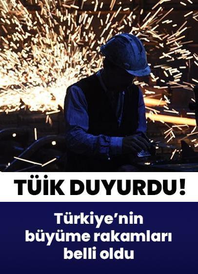 Türkiye'nin büyüme rakamları belli oldu