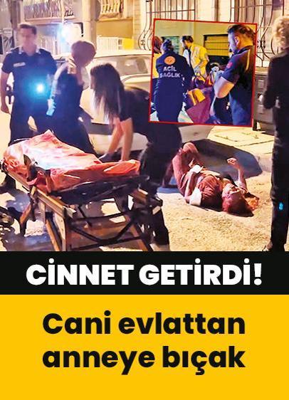 Cinnet getirdi! Cani evlattan anneye bıçak