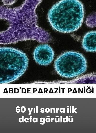 60 yıl sonra ilk defa görüldü: ABD'de parazit paniği