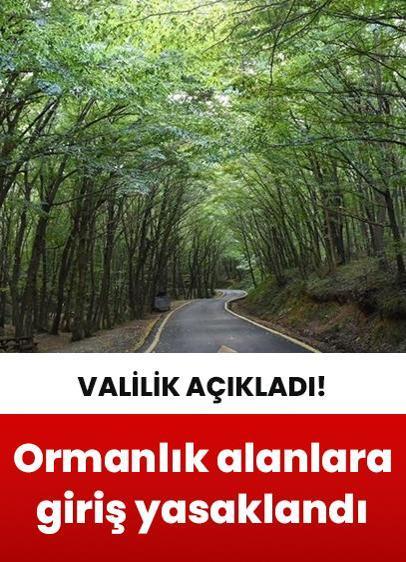 Valilik açıkladı: İstanbul'da ormanlık alanlara giriş yasaklandı