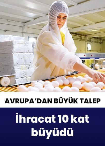 İhracat 10 kat büyüdü! Türk yumurtasına Avrupa'dan büyük talep