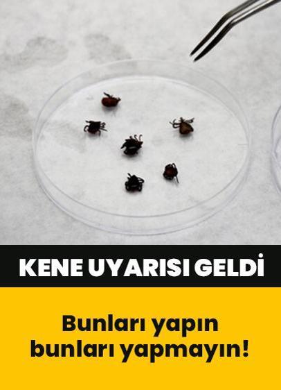 Bakanlıktan kene uyarısı: Bunları yapın bunları yapmayın!