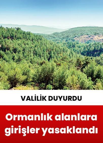 Edirne'de ormanlık alanlara girişler 15 Ekim'e kadar yasaklandı