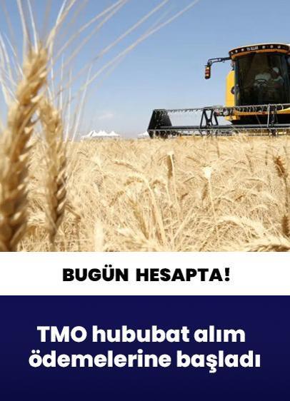 TMO hububat alım ödemelerine başladı