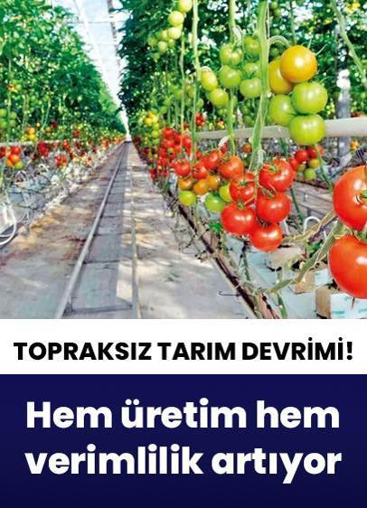İstanbul'da topraksız tarım devrimi