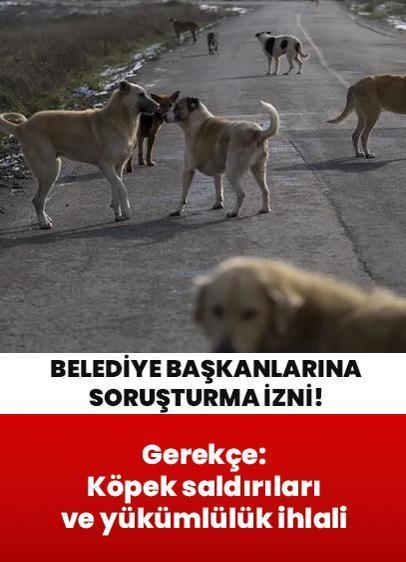 3 belediye başkanı hakkında soruşturma izni! Gerekçe: Köpek saldırıları ve yükümlülük ihlali