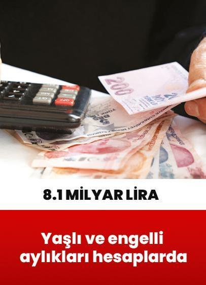 8.1 milyar liralık yaşlı ve engelli aylıkları hesaplarda