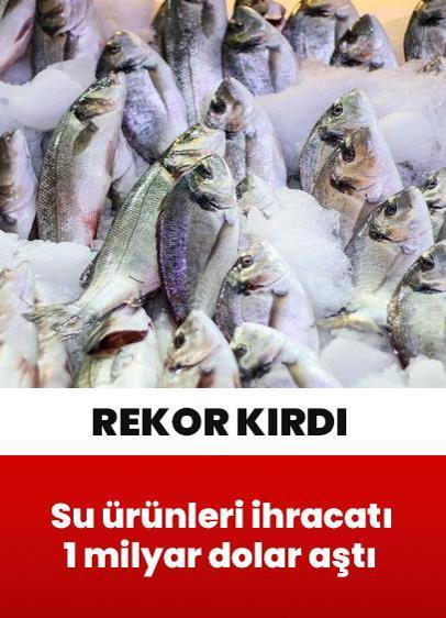 Türkiye'nin su ürünleri ihracatı ilk yarıda 1 milyar doları aşarak rekor kırdı