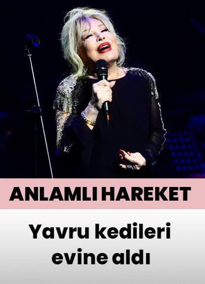 Emel Sayın'dan anlamlı hareket! Yavru kedileri evine aldı