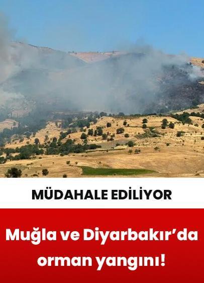 Muğla ve Diyarbakır'da çıkan orman yangınlarına müdahale ediliyor