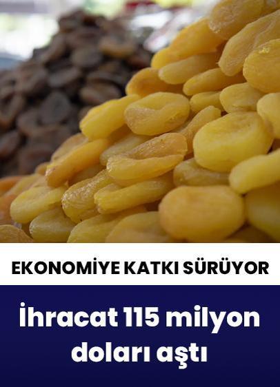 Türkiye'nin 6 aylık kuru kayısı ihracatı 115 milyon doları aştı