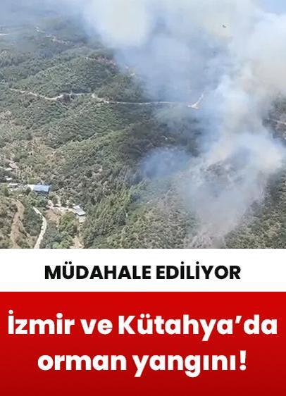 İzmir ve Kütahya'da orman yangını!