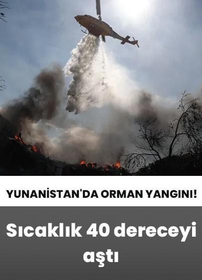 Yunanistan'da orman yangını! Sıcaklık 40 dereceyi aştı