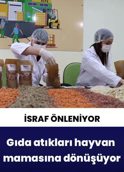 "Sıfır Atık" Projesi kapsamında 74 ilde gıda atıkları hayvan mamasına dönüştürülüyor