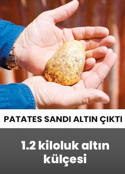 Patates sandı altın çıktı